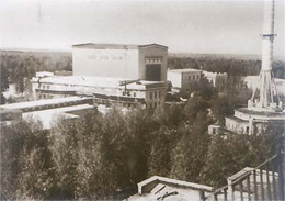 Первый королёк Первый королёк