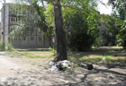 Точки вывоза мусора проверили Точки вывоза мусора проверили