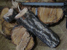 В Озерске расследуются несколько уголовных дел, связанных с незаконной порубкой деревьев.